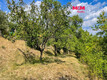 img_nabidka